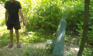 PM439image001