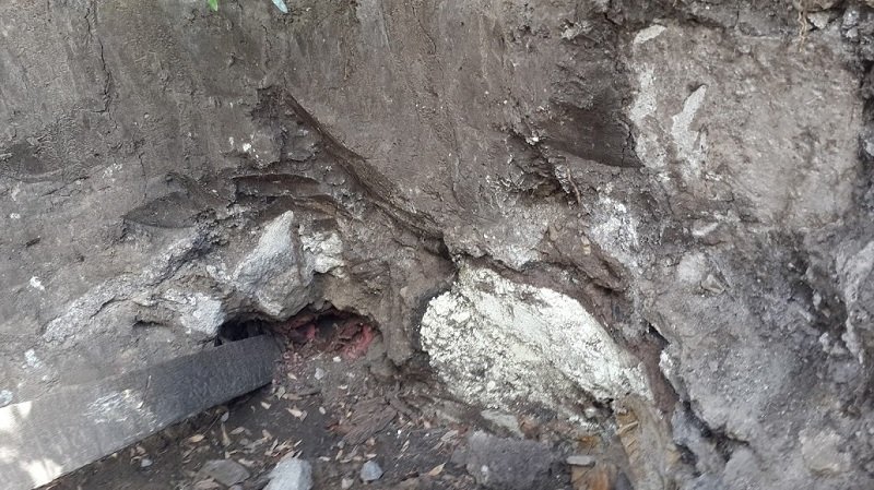 ядохимикаты-1