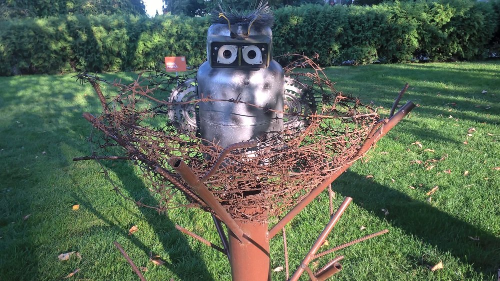 выставка, сова