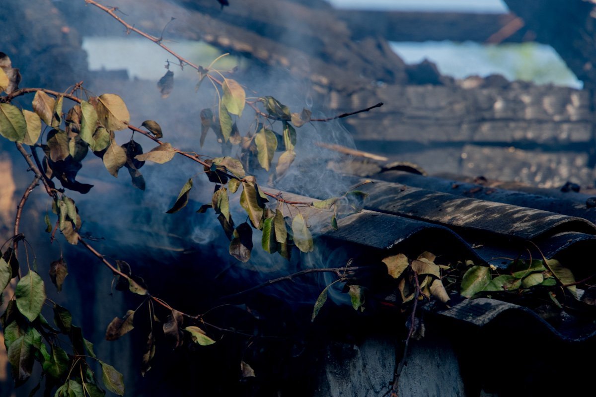 Фото: Александр Лаур Фото: Александр Лаур