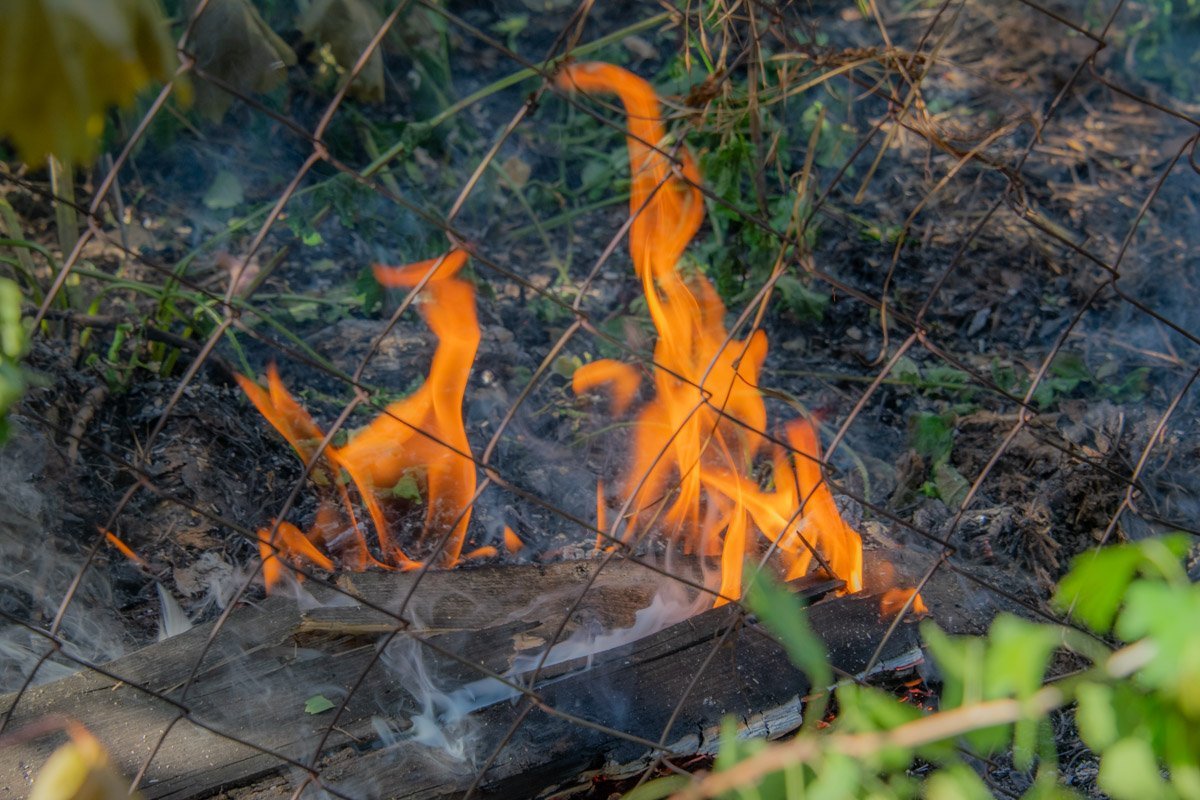 Местные жители рассказали, что пенсионеры, проживавшие в этом доме, периодически выпивали Местные жители рассказали, что пенсионеры, проживавшие в этом доме, периодически выпивали