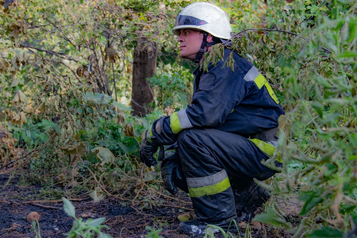 Фото: Александр Лаур Фото: Александр Лаур