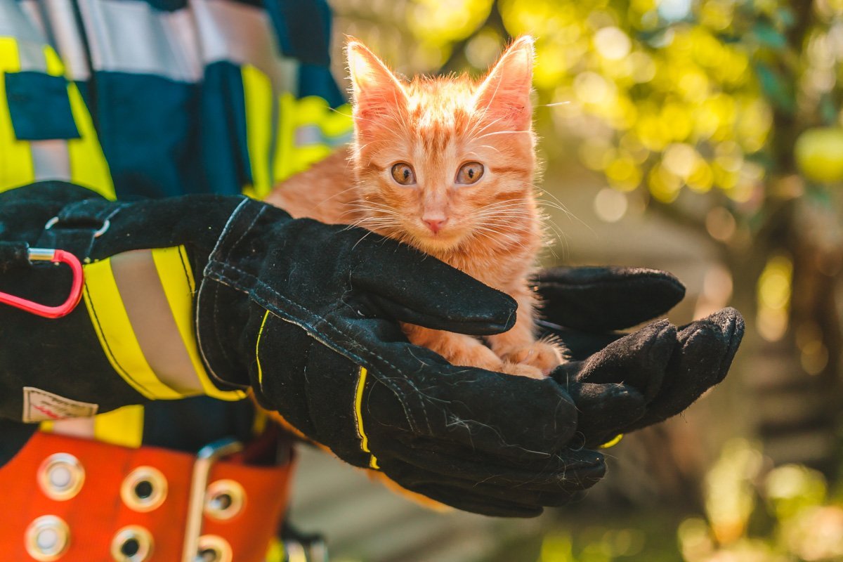 Тот яркий Огонек, который никогда не обожжет ваши ручки :) Тот яркий Огонек, который никогда не обожжет ваши ручки :)