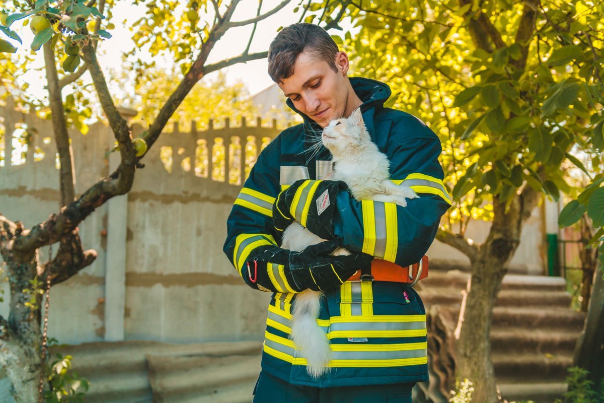 Глаза, полные надежды на счастливую жизнь Глаза, полные надежды на счастливую жизнь