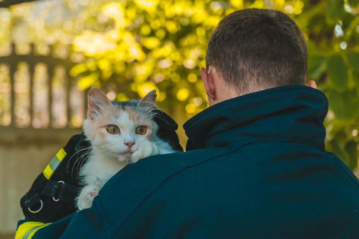 Вернуть веру в человечность будет сложно. Но можно Вернуть веру в человечность будет сложно. Но можно