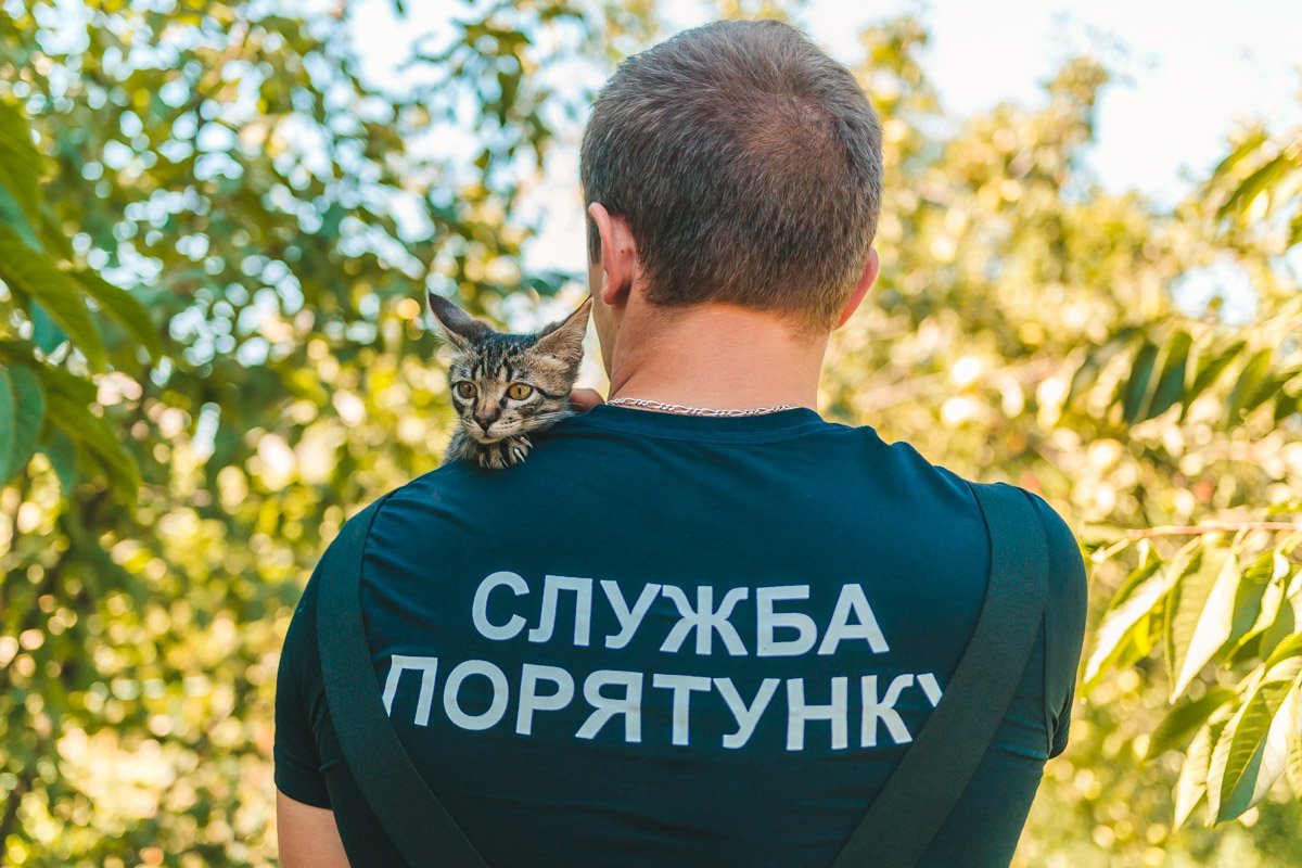 И нас спасают, и вас спасут И нас спасают, и вас спасут