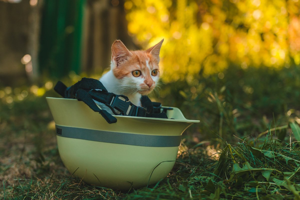 Сложно поверить, что тебе не желают зла, да? Сложно поверить, что тебе не желают зла, да?