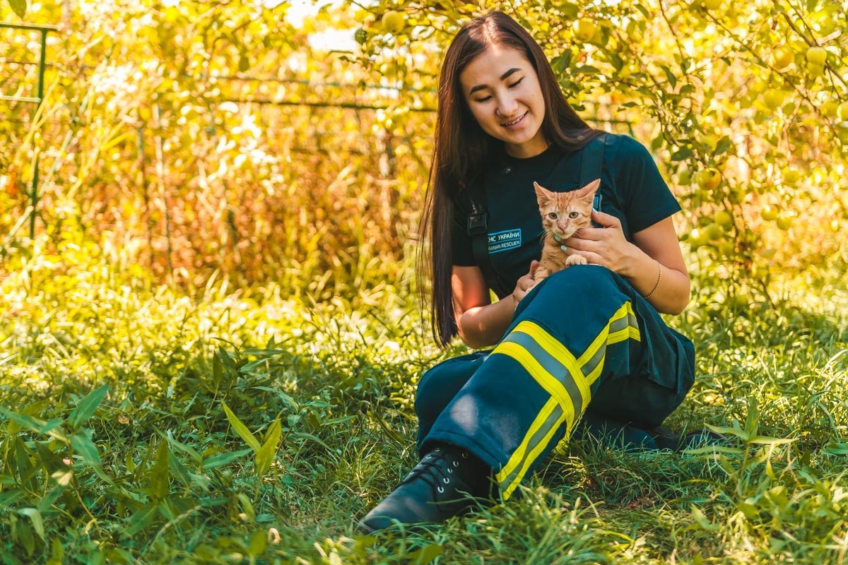 У кого есть кошка, тот может не бояться одиночества У кого есть кошка, тот может не бояться одиночества
