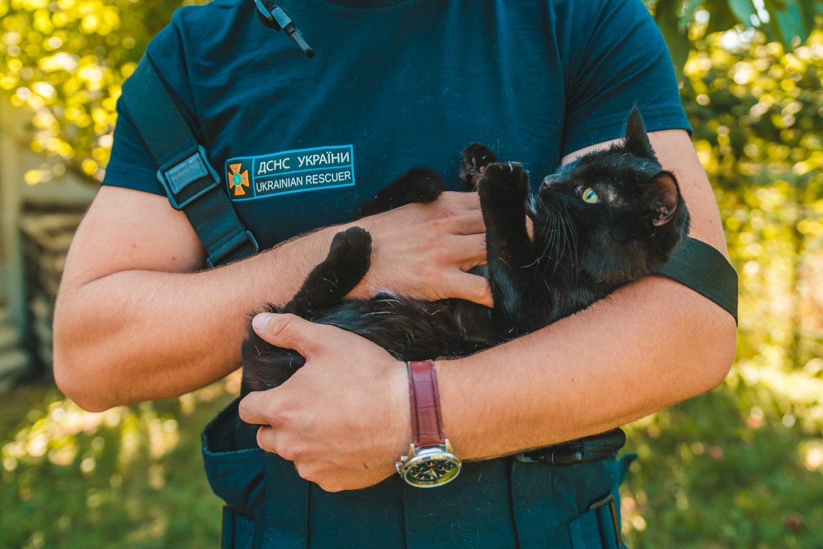 Я буду падать тебе в ноги и просить погладить меня, чтобы потом вцепиться тебе в руку Я буду падать тебе в ноги и просить погладить меня, чтобы потом вцепиться тебе в руку