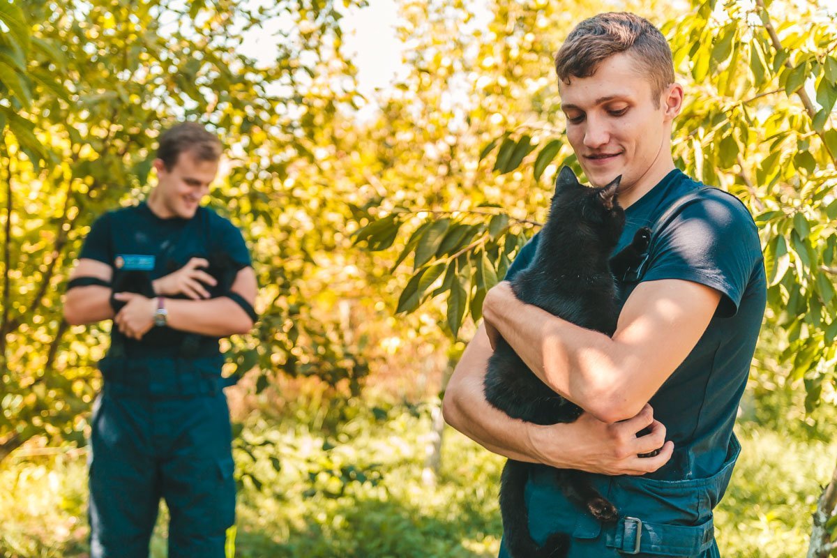 Котики на руках у котиков :) Котики на руках у котиков :)