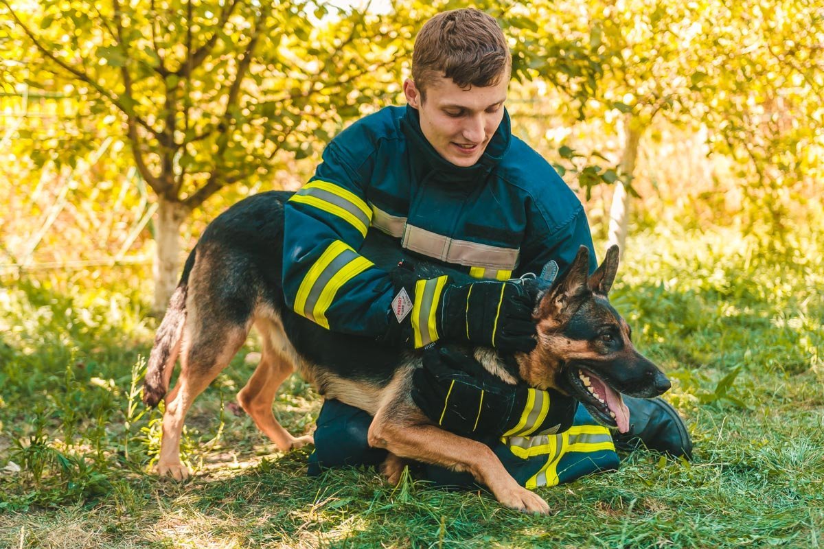Слишком много энергии, чтобы позировать сидя Слишком много энергии, чтобы позировать сидя