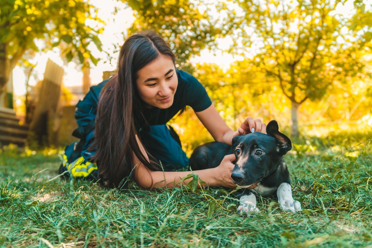 Щенок, который отродясь не знал, что такое нежность Щенок, который отродясь не знал, что такое нежность