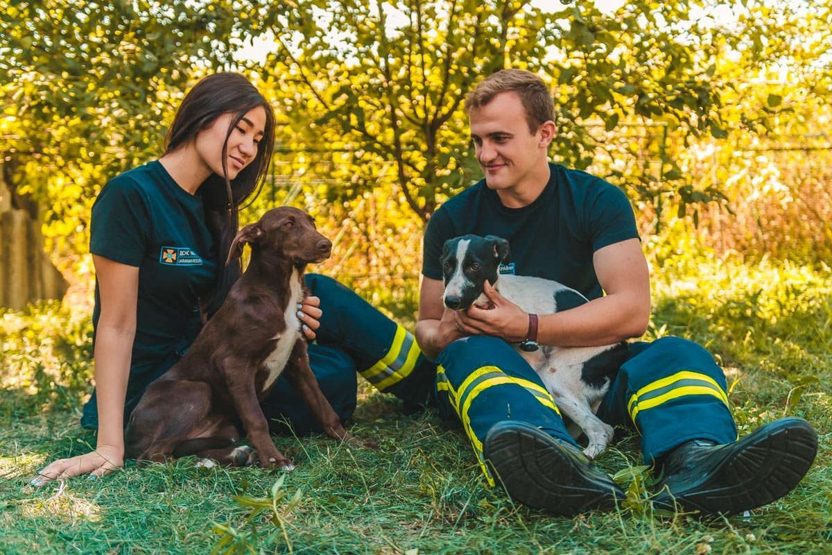 Спасатели подарили животным несколько минут настоящего счастья Спасатели подарили животным несколько минут настоящего счастья