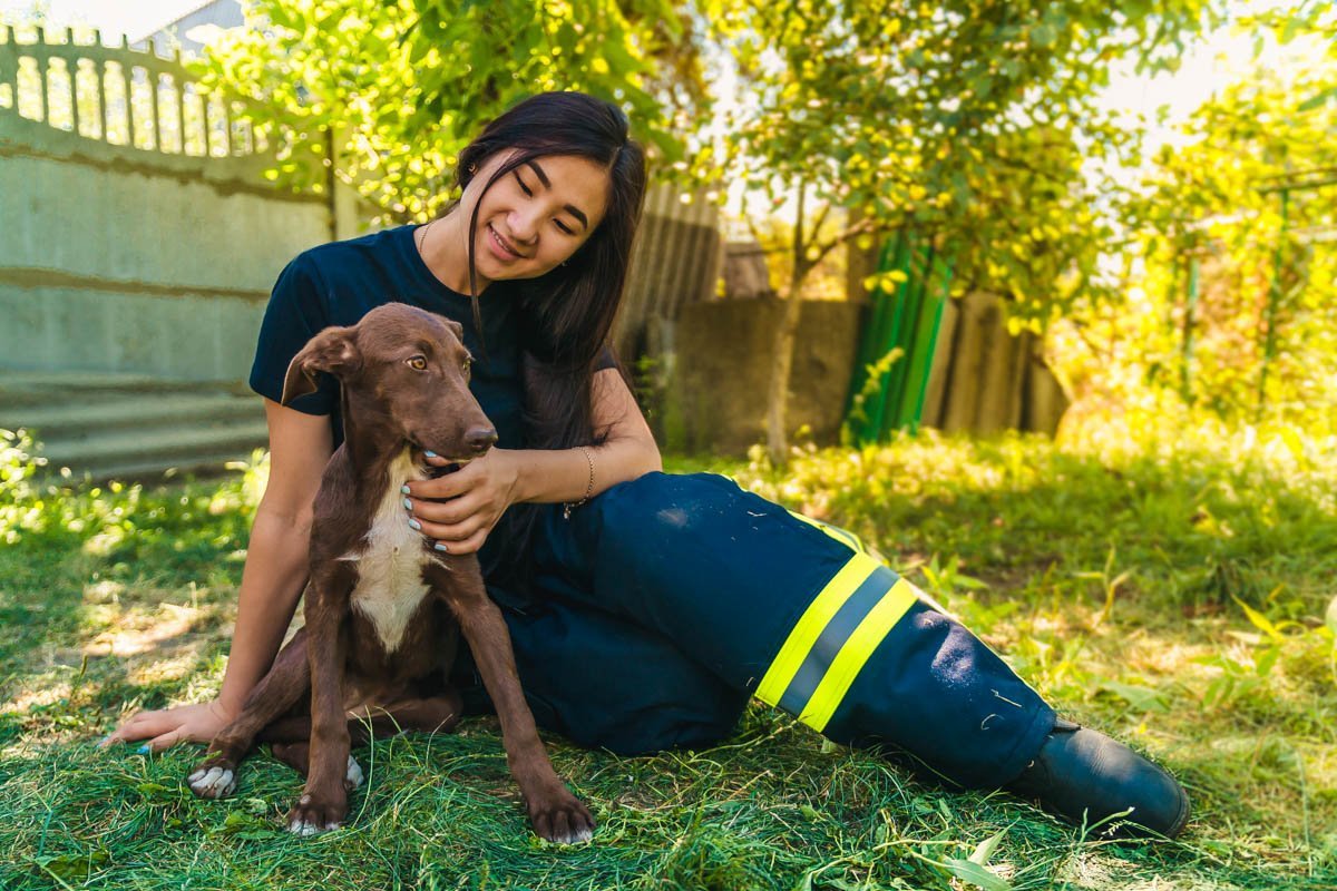 На улице у собаки мало шансов выжить На улице у собаки мало шансов выжить