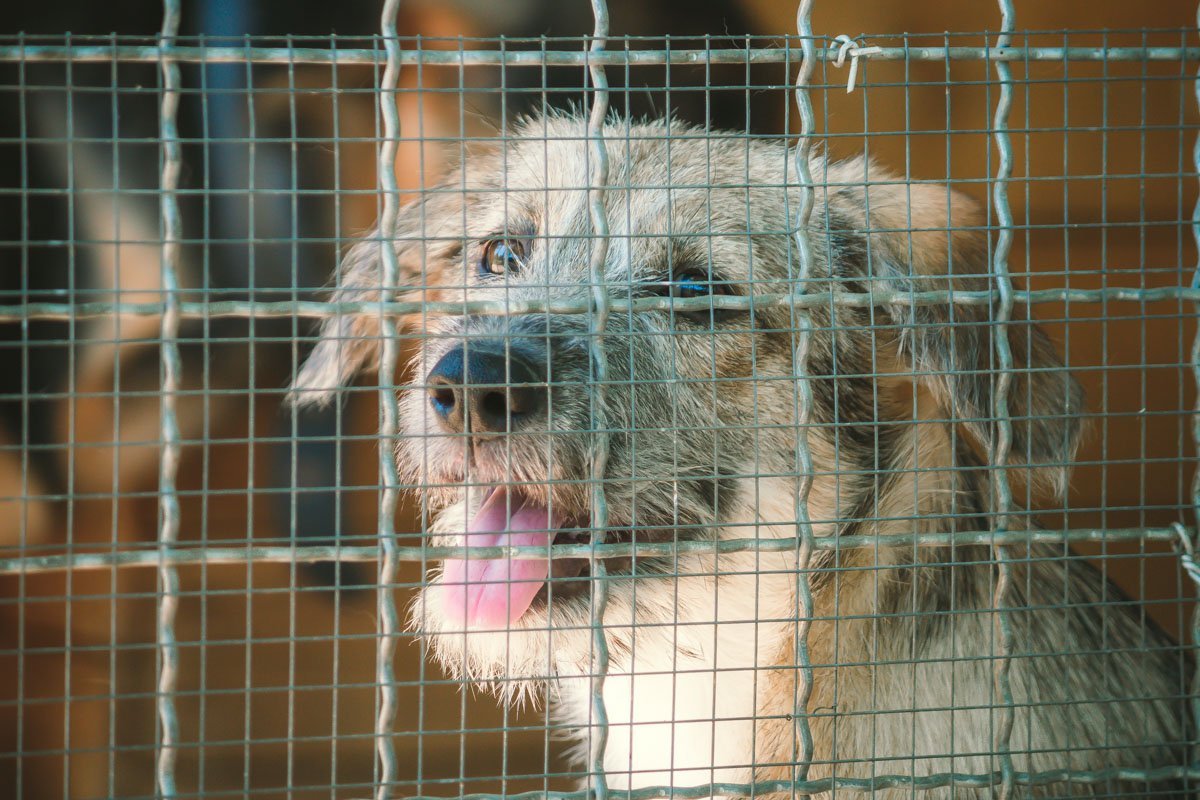 Грусть в глазах не скрыть Грусть в глазах не скрыть