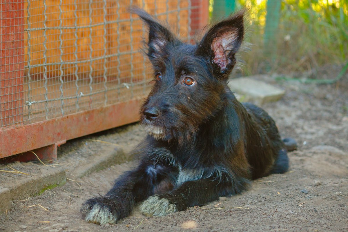 Ма, это ты? Ма, это ты?