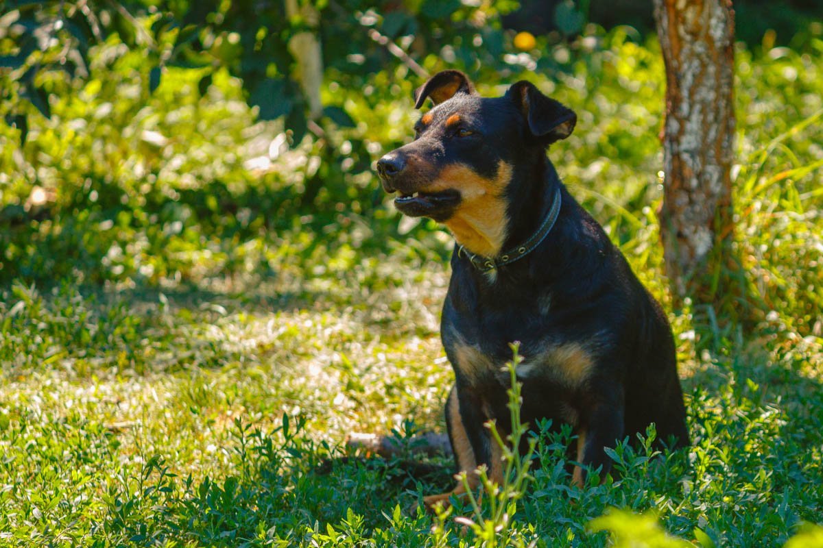 Трудно быть одиноким Трудно быть одиноким