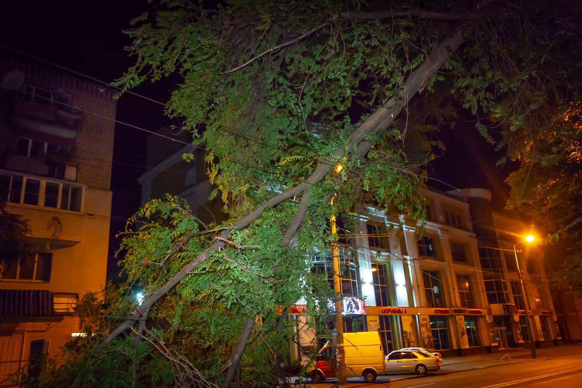 К счастью, никто не пострадал 