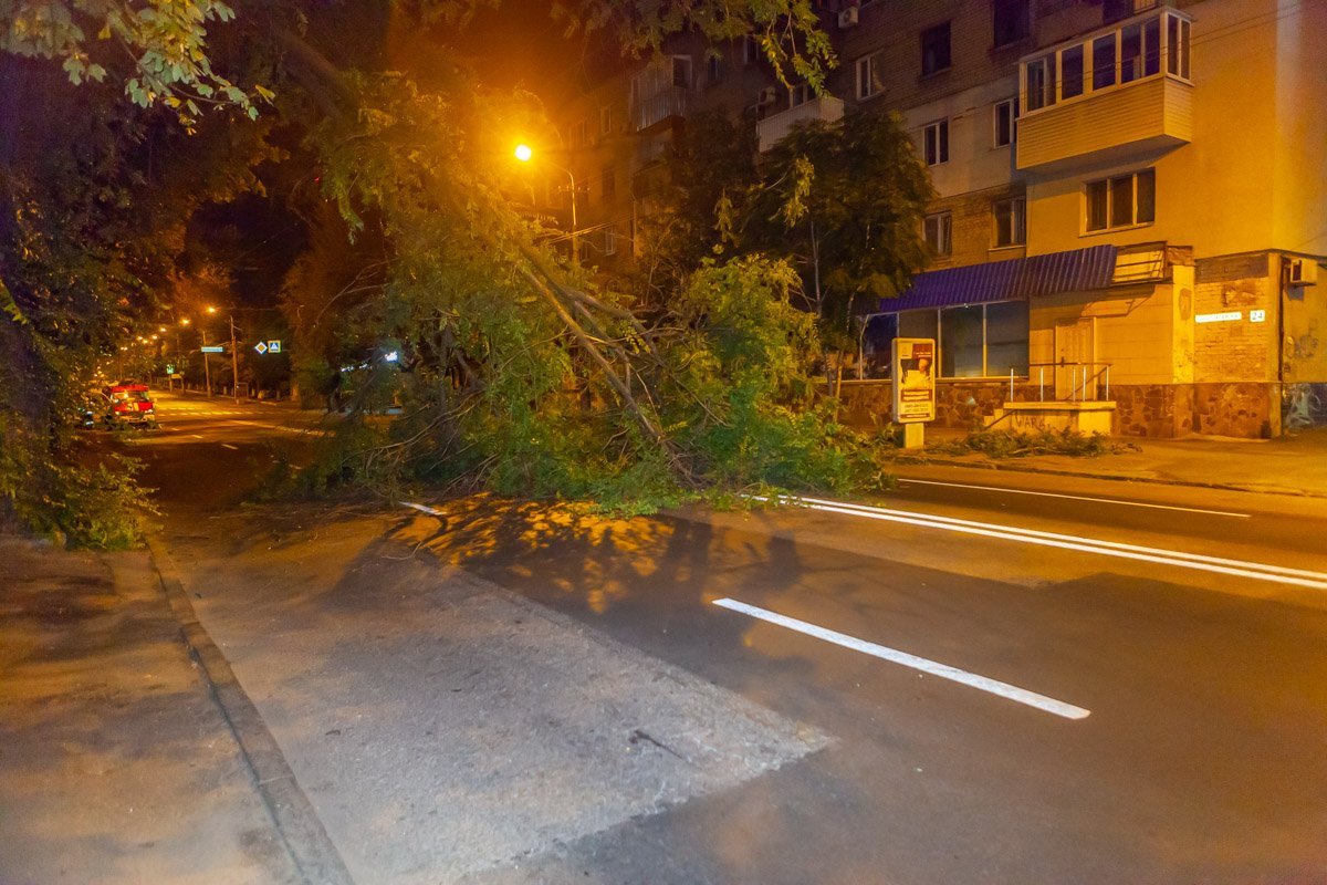 Полицейские сразу же освободили одну полосу для движения