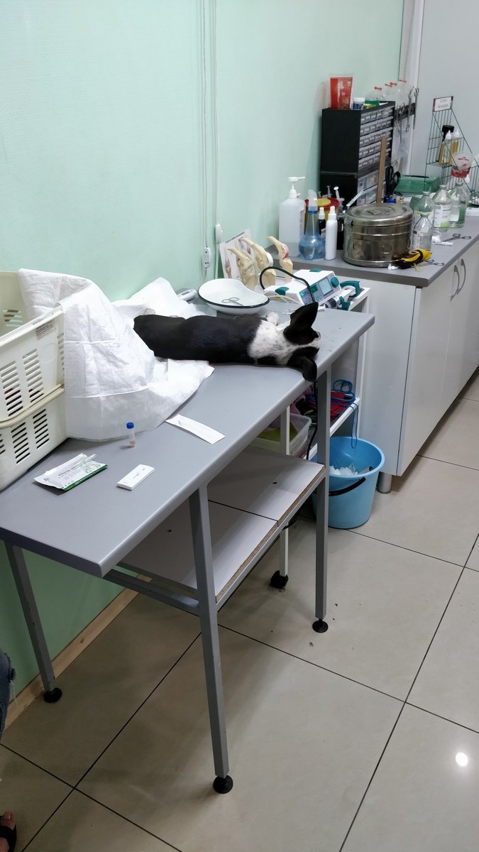 Малыша пытались спасти