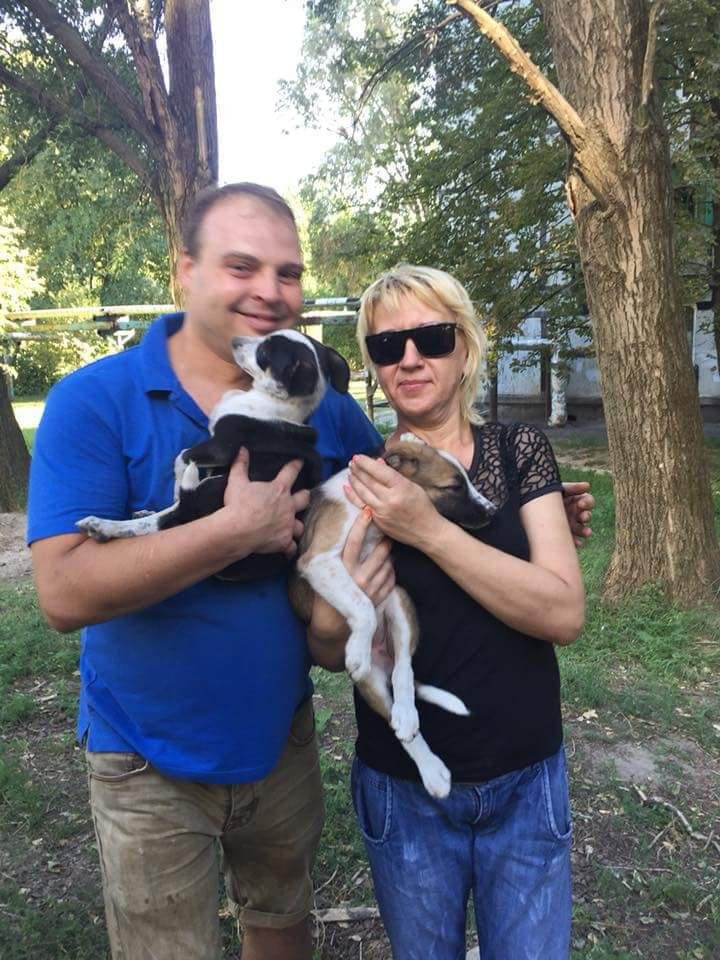 Эти люди забрали щенков, чтобы над ними издеваться