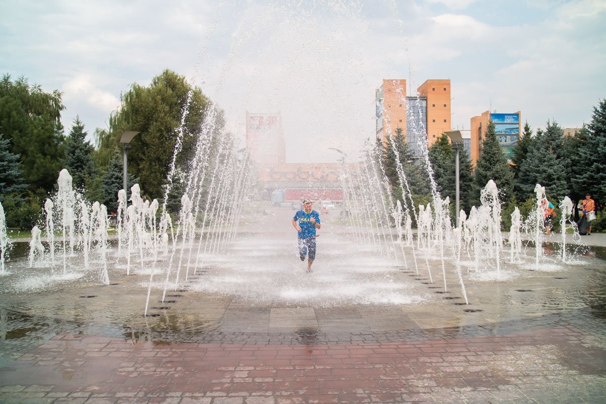 Беги, Лес, беги...