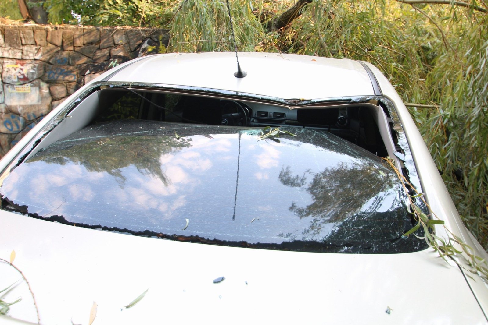 Mazda особенно пострадала