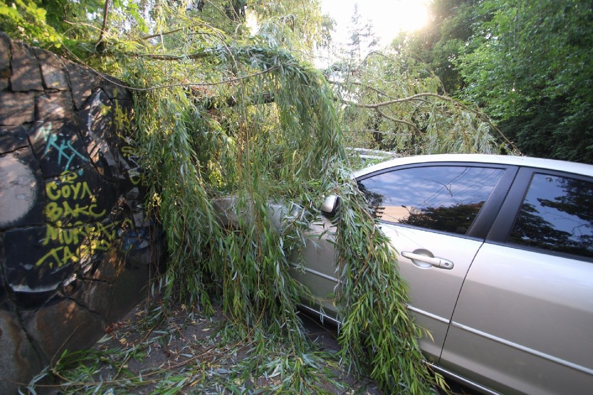 Фото Дениса Чубченко