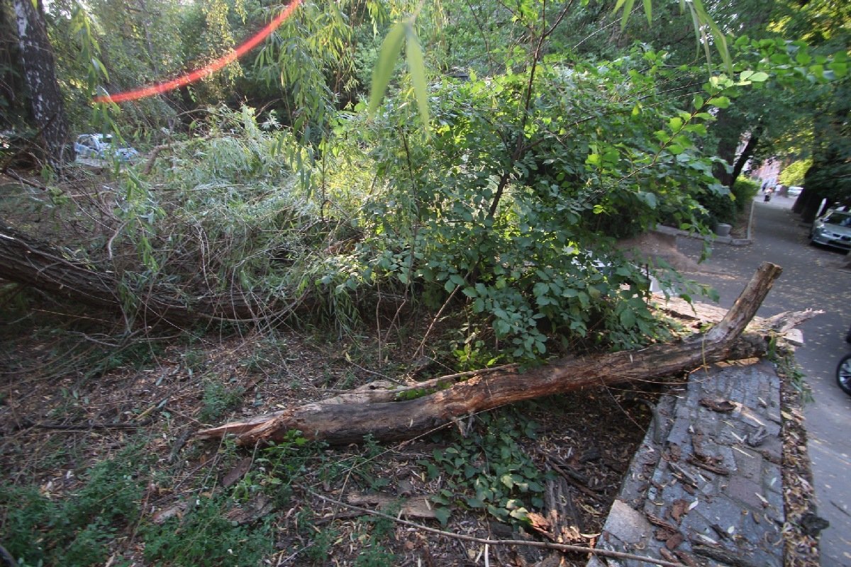 Фото Дениса Чубченко