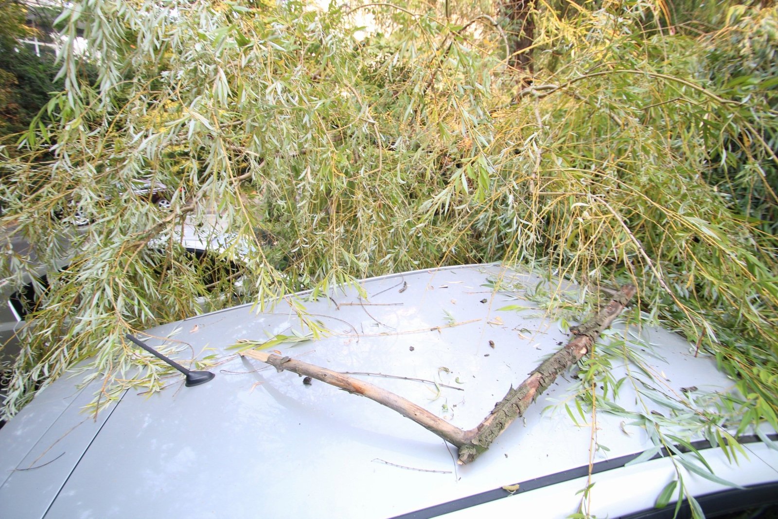 Фото Дениса Чубченко