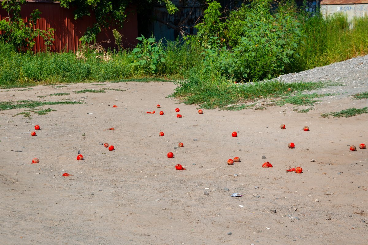 На тротуаре рассыпались продукты, которые женщины несли с собой