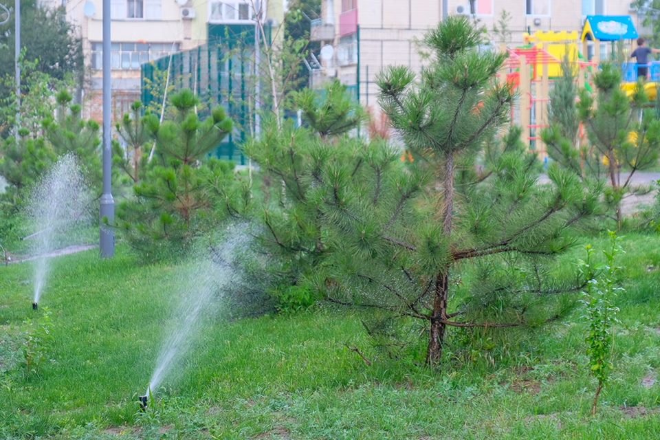 В парке работает система автоматического полива растений В парке работает система автоматического полива растений