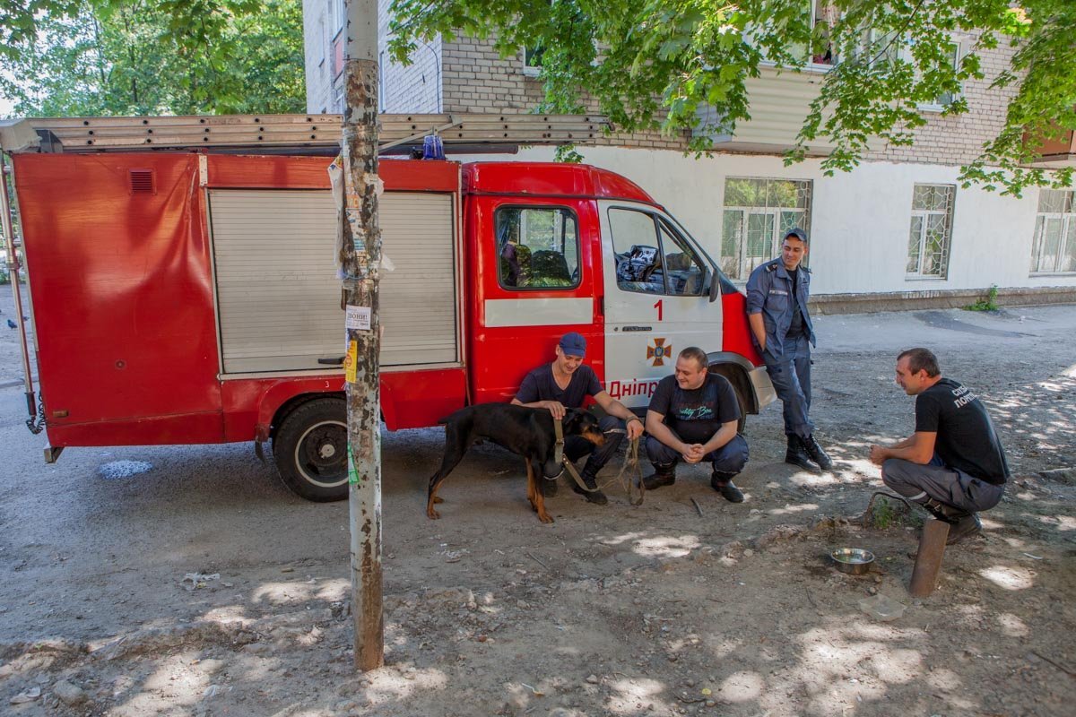 На Гагарина бросили умирать Добермана На Гагарина бросили умирать Добермана