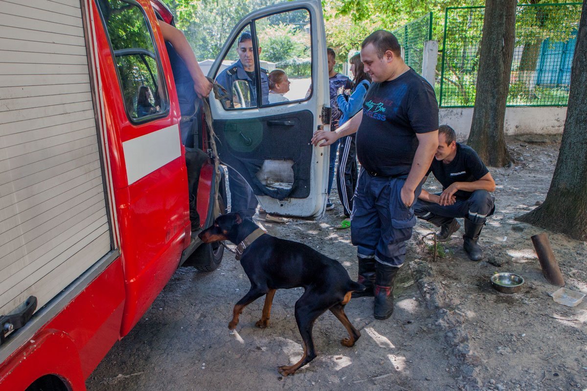 Собака была заперта без воды и еды трое суток Собака была заперта без воды и еды трое суток