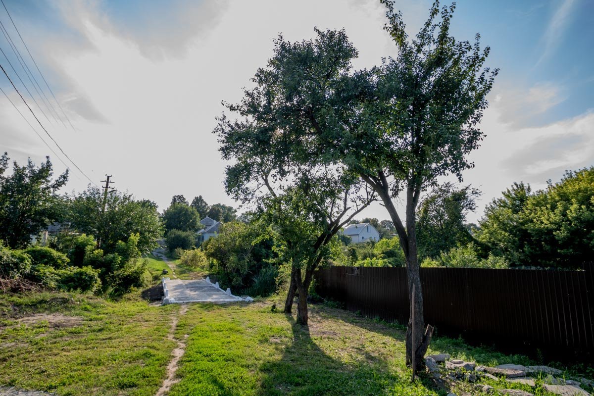 Фото: Александр Лаур Фото: Александр Лаур