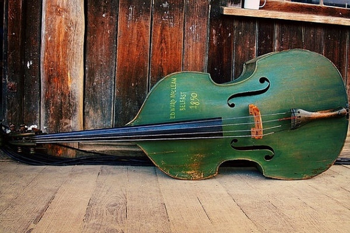 Зеленый контрабас Зеленый контрабас