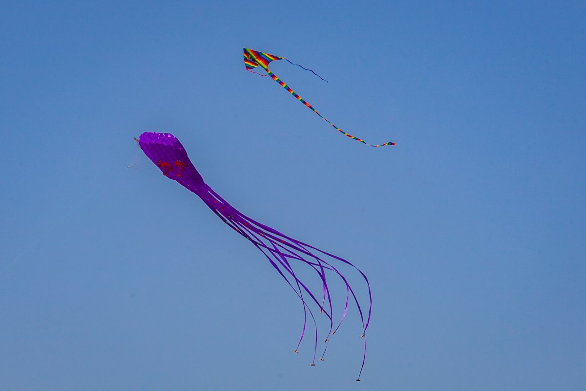 Фестиваль воздушных змеев Фестиваль воздушных змеев