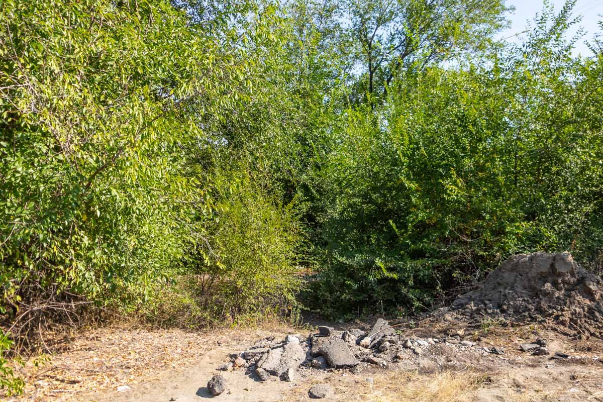 В темное время ходить здесь может показаться не самым лучшим занятием В темное время ходить здесь может показаться не самым лучшим занятием