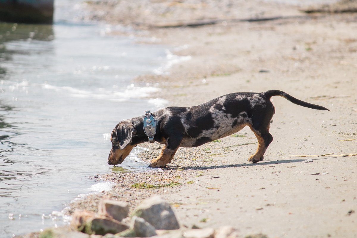 Так как сегодня было жарко Так как сегодня было жарко
