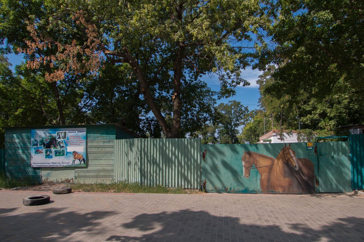 Здесь можно также покататься на лошадках