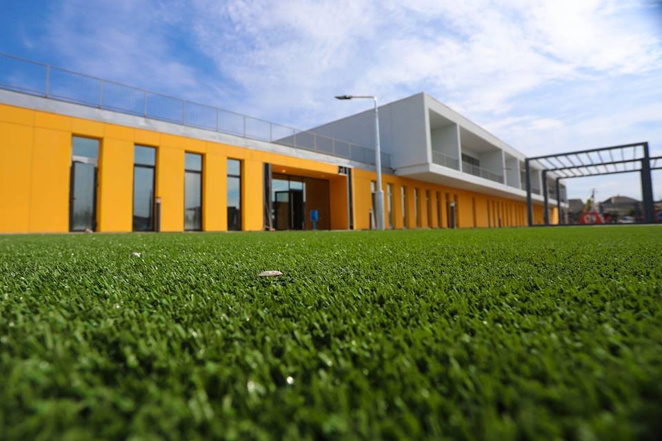 Яркие цвета и газонная трава радуют глаз