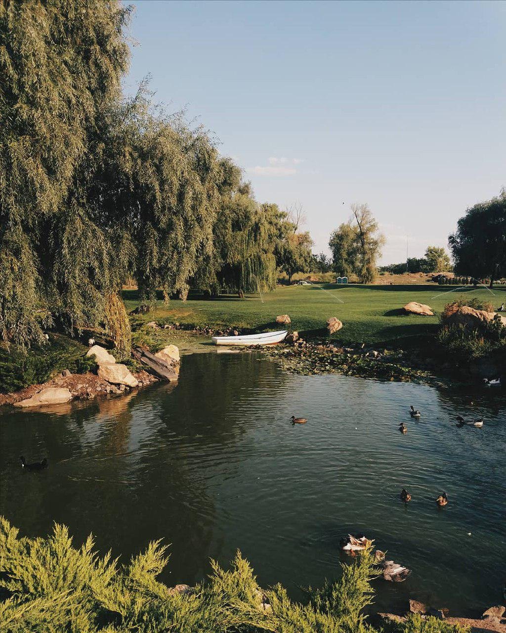 Последние дни лета. Фото: sweetbitterphotography Последние дни лета. Фото: sweetbitterphotography