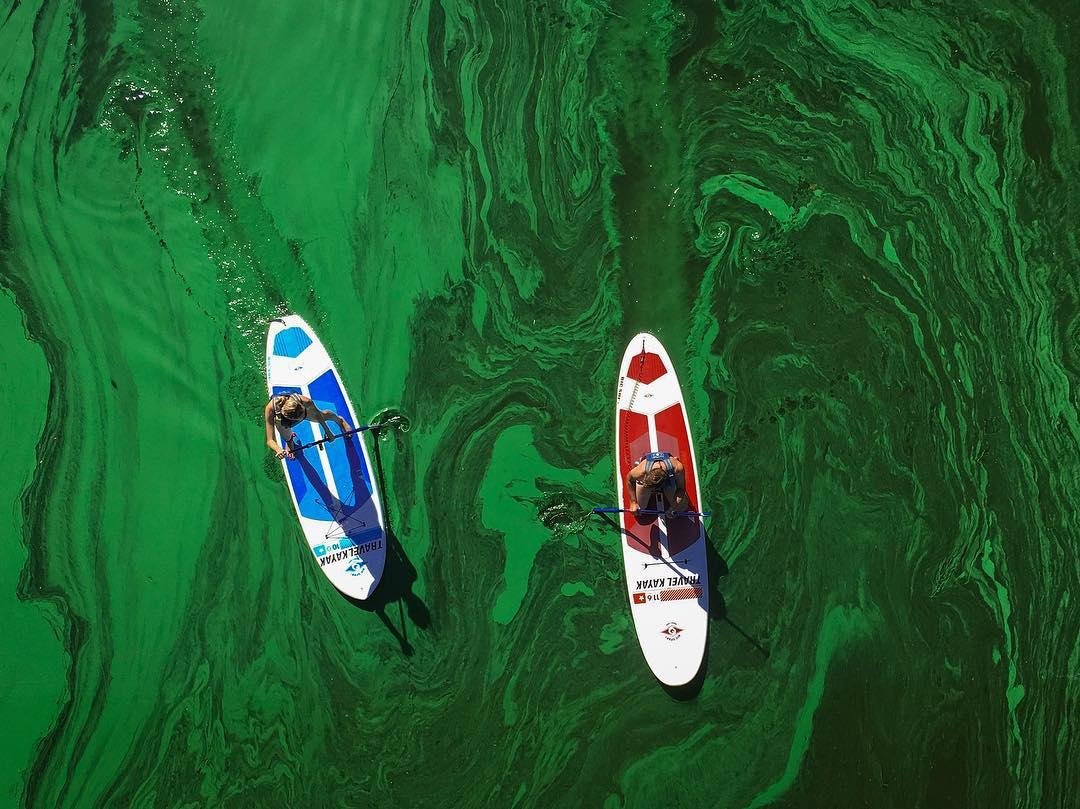 Тот случай, когда лучше не падать. Фото: petelchuk_dmitriy Тот случай, когда лучше не падать. Фото: petelchuk_dmitriy