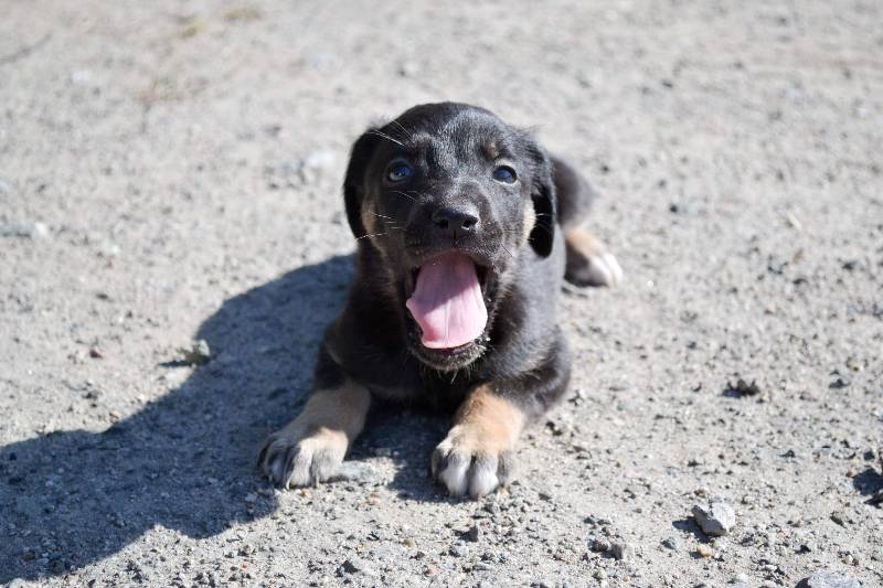Бесконечный заряд бодрости каждое утро вам будет обеспечен