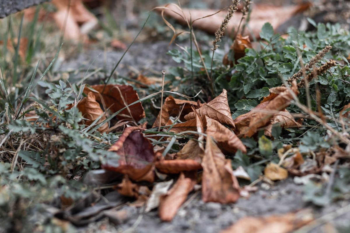 Фото Дмитрия Федорова