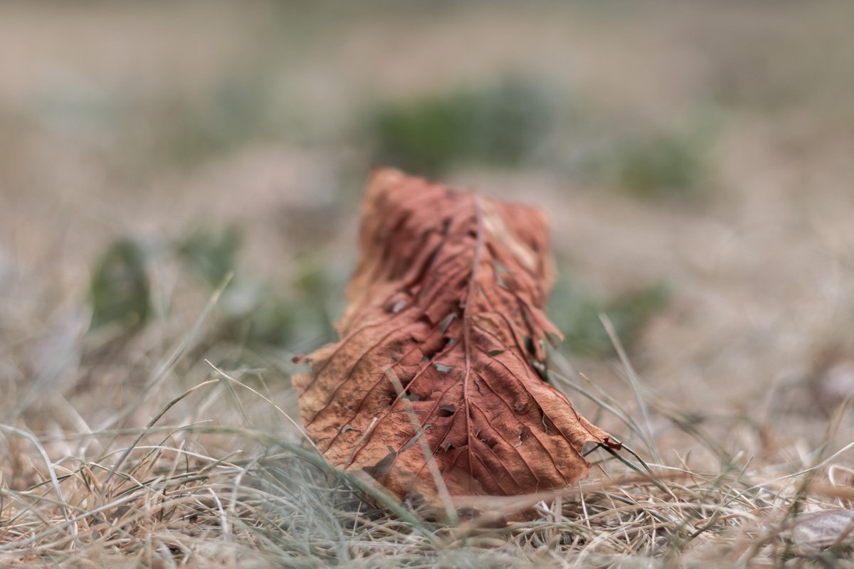 Фото Дмитрия Федорова