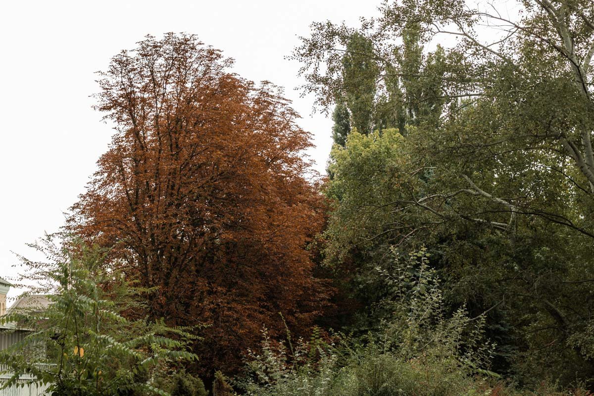 Городские контрасты