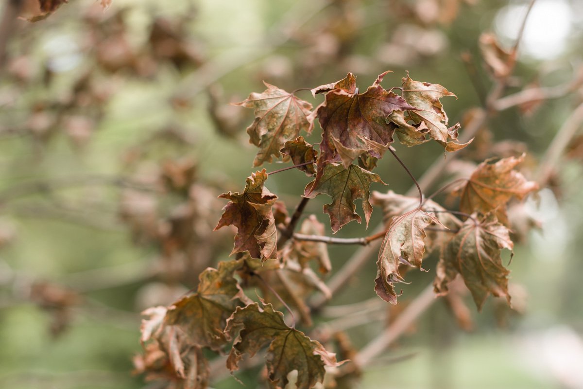 Фото Дмитрия Федорова