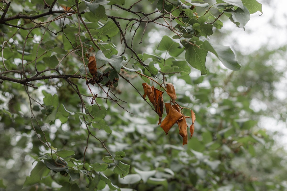 Фото Дмитрия Федорова