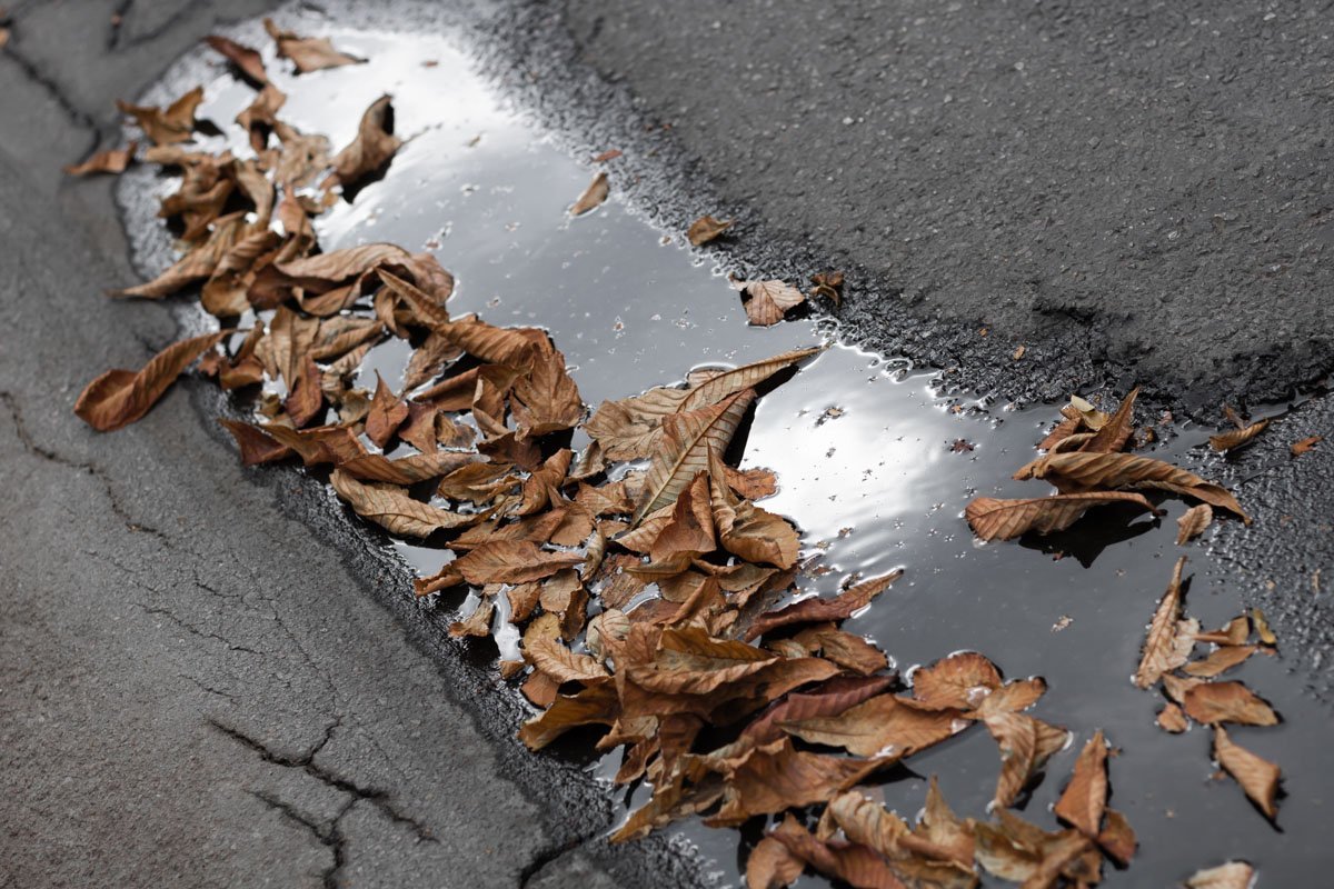 Днепр в лужах